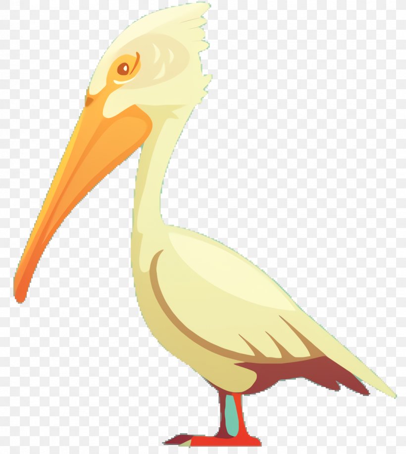 Bird Cartoon, PNG, 1092x1220px, Pelican, Animal Figure, Beak, Bird, Ciconiiformes Download Free