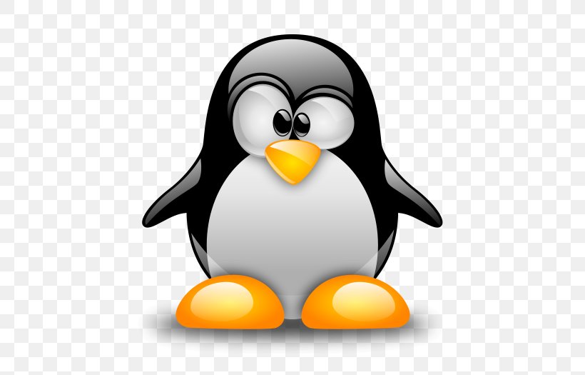 Computer Servers Linux Installation Samba Software Build, PNG, 700x525px, Computer Servers, Beak, Bird, Flightless Bird, Installation Download Free