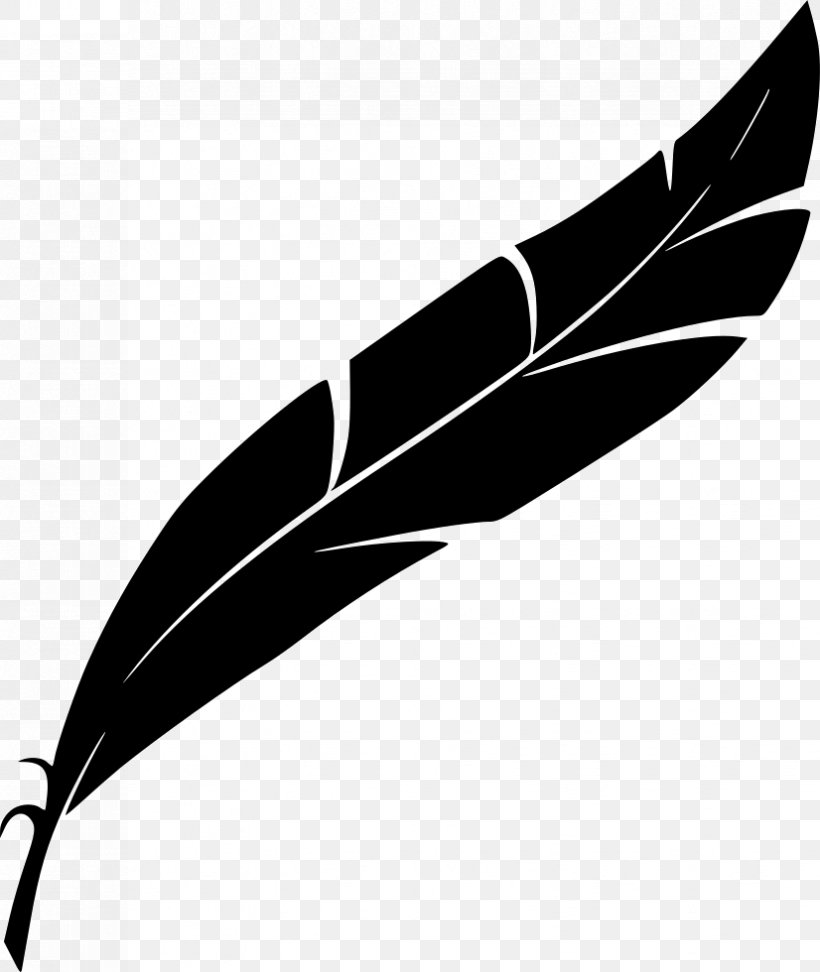 Feather Quill, PNG, 826x980px, Feather, Black And White, Calligraphy, Drawing, Fashion Accessory Download Free