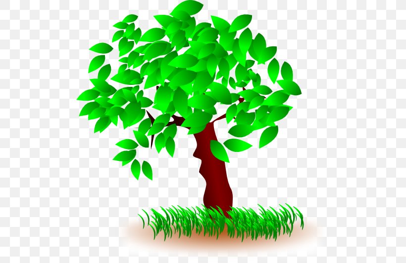 Tree Desktop Wallpaper Clip Art, PNG, 512x533px, Tree, Branch, Christmas, Christmas Tree, Flowerpot Download Free