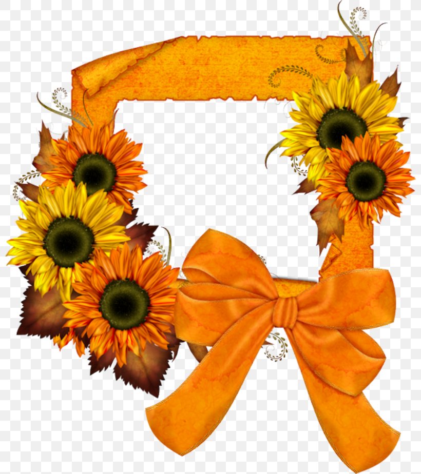 Common Sunflower Picture Frames Clip Art, PNG, 800x924px, Common Sunflower, Cut Flowers, Daisy Family, Floral Design, Floristry Download Free