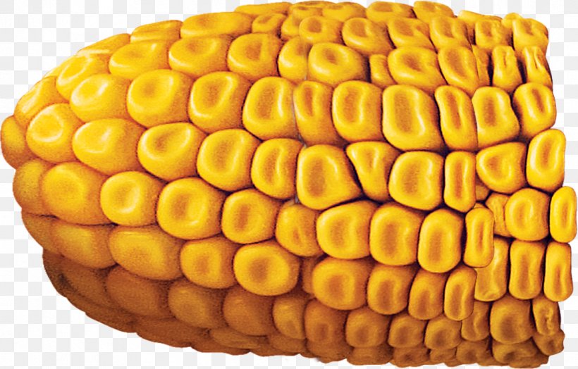 Corn On The Cob Finance Maize Price Money, PNG, 1110x710px, Corn On The Cob, Agriculture, Commodity, Corn Kernel, Corn Kernels Download Free