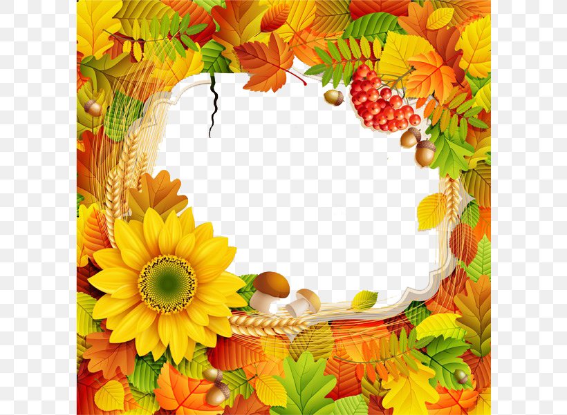 Fall Promotional Posters Border, PNG, 600x601px, Autumn, Autumn Leaf Color, Cut Flowers, Floral Design, Floristry Download Free