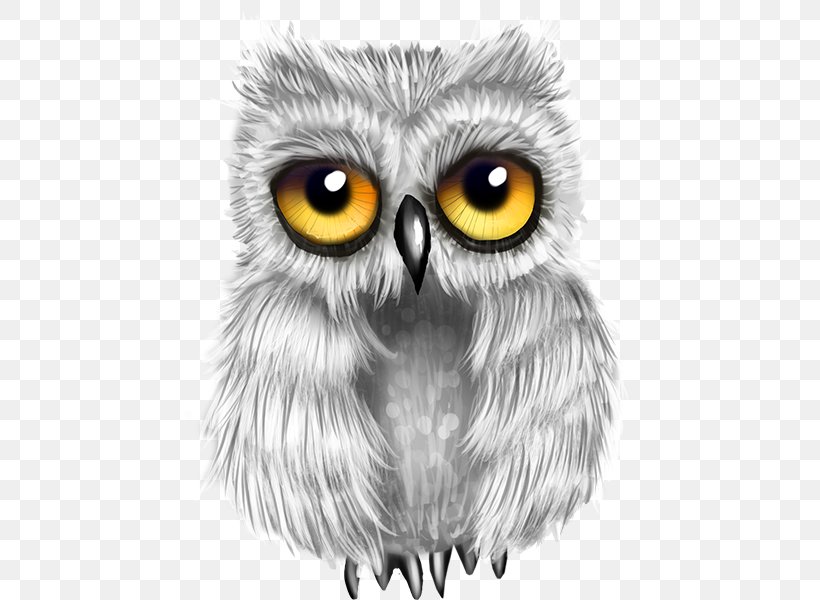 Great Grey Owl Drawing Bird, PNG, 600x600px, Owl, Beak, Bird, Bird Of Prey, Black And White Download Free