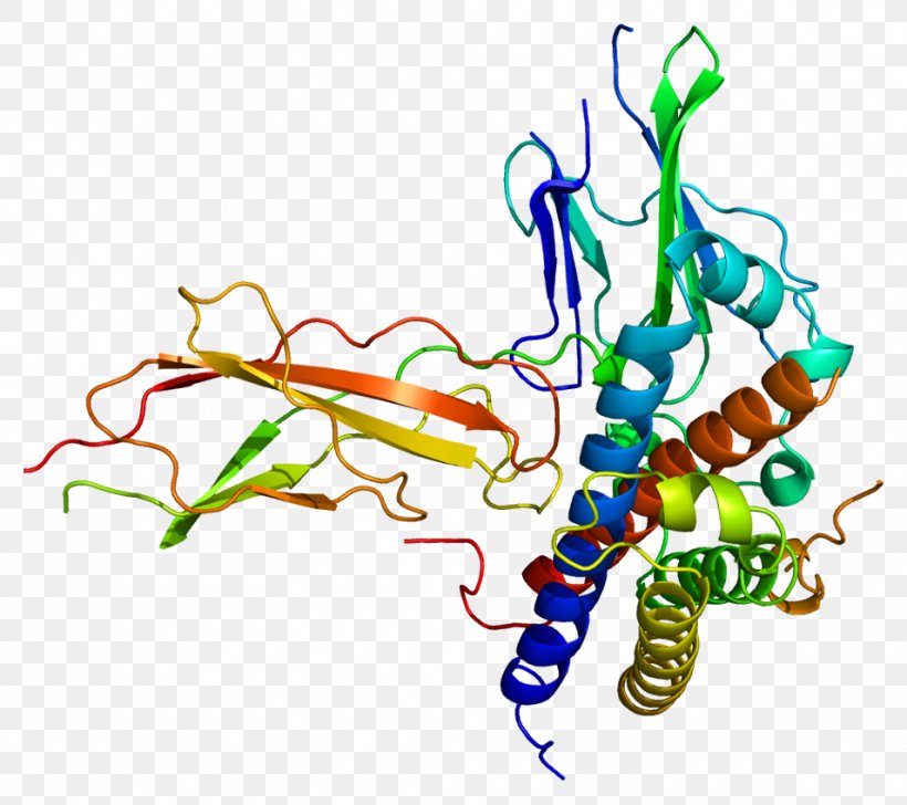 Growth Hormone 2 Growth Hormone 1 Growth Hormone Receptor, PNG, 955x848px, Growth Hormone, Area, Artwork, Gene, Growth Hormone 1 Download Free