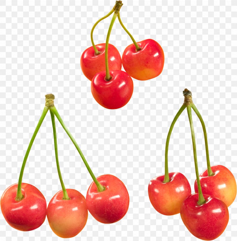 Sweet Cherry Cerasus Food Fruit, PNG, 4845x4934px, Cherry, Accessory Fruit, Cerasus, Eating, Food Download Free
