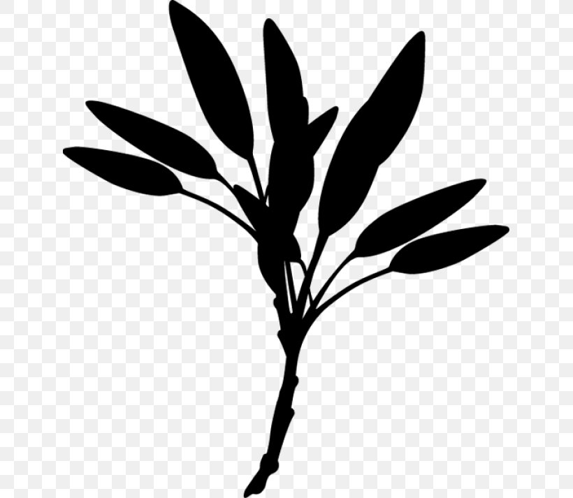 Twig Plant Stem Flower Leaf Clip Art, PNG, 639x713px, Twig, Blackandwhite, Botany, Branch, Flower Download Free