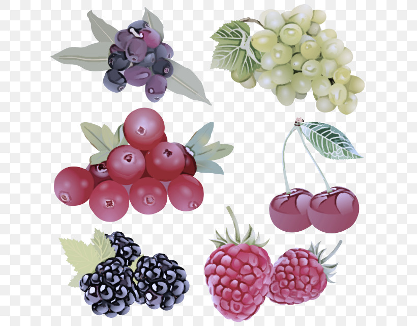 Berry Fruit Plant Seedless Fruit Blackberry, PNG, 640x640px, Berry, Blackberry, Flower, Food, Fruit Download Free
