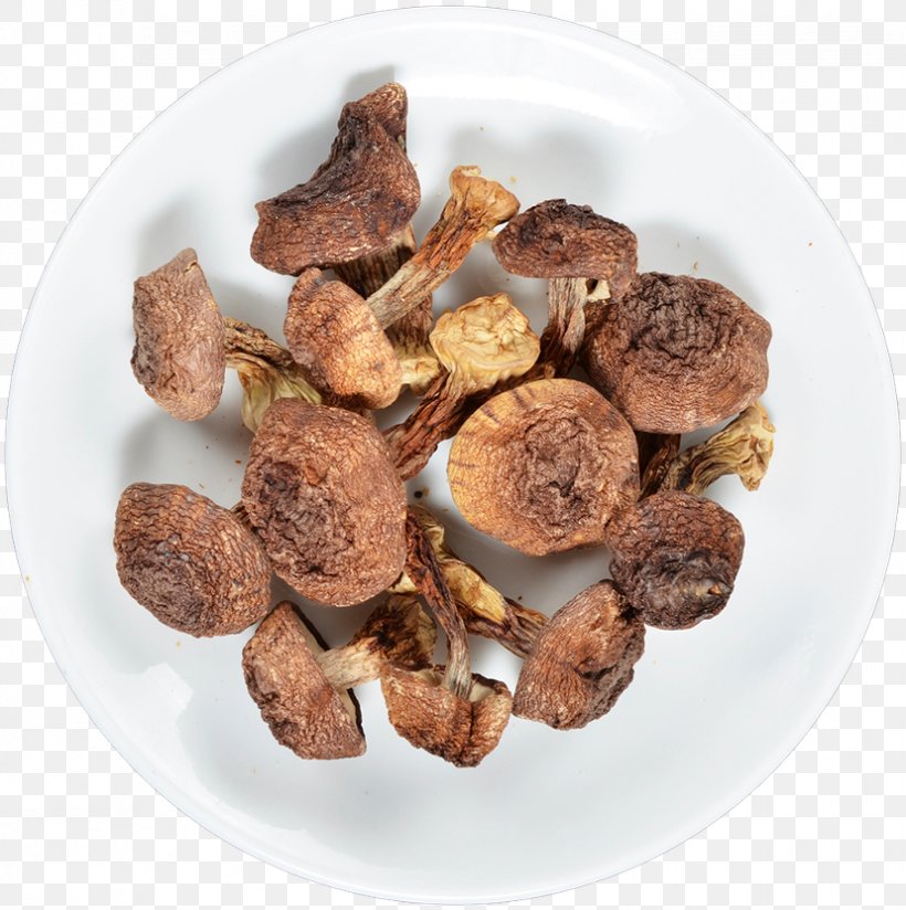 Dietary Supplement Agaricus Subrufescens Mushroom Medicinal Fungi, PNG, 828x833px, Dietary Supplement, Agaric, Agaricus, Agaricus Subrufescens, Almond Download Free