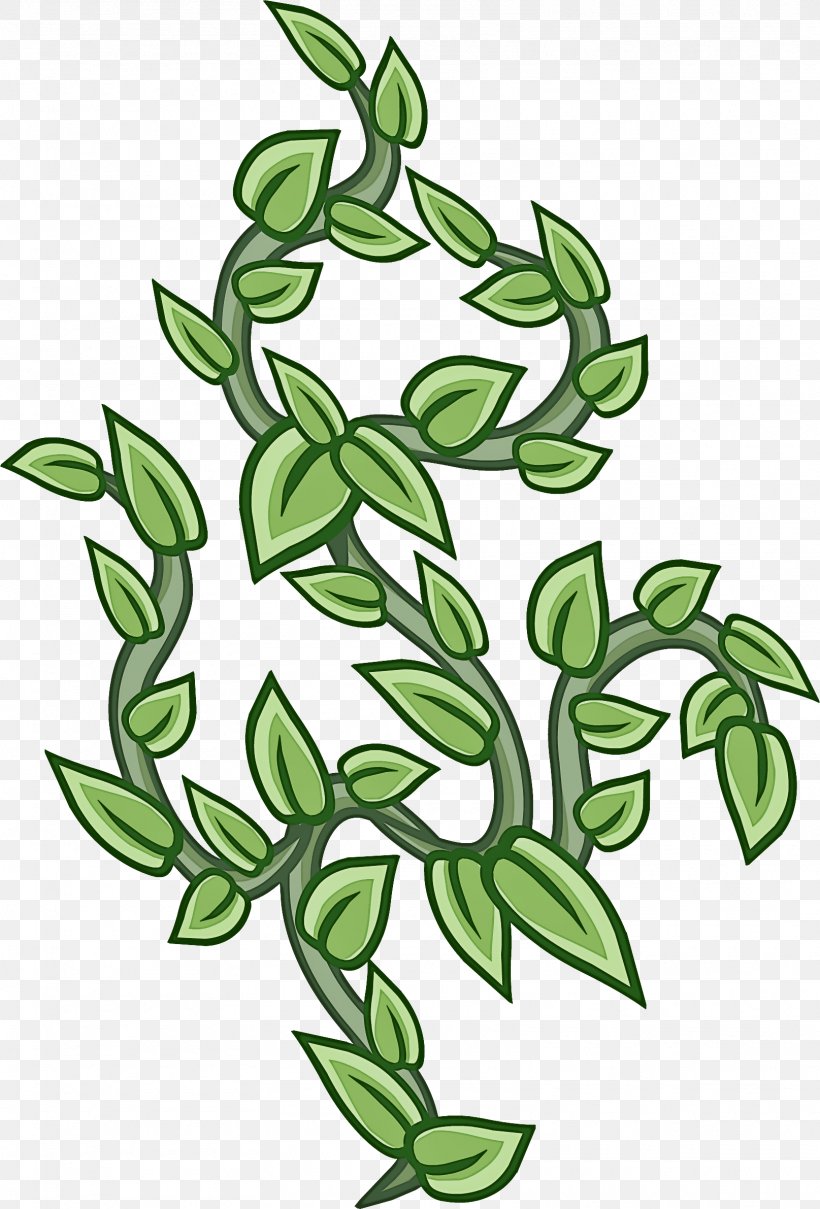 Plant Leaf Flower Green Branch, PNG, 1615x2382px, Plant, Branch, Flower, Flowering Plant, Grass Download Free