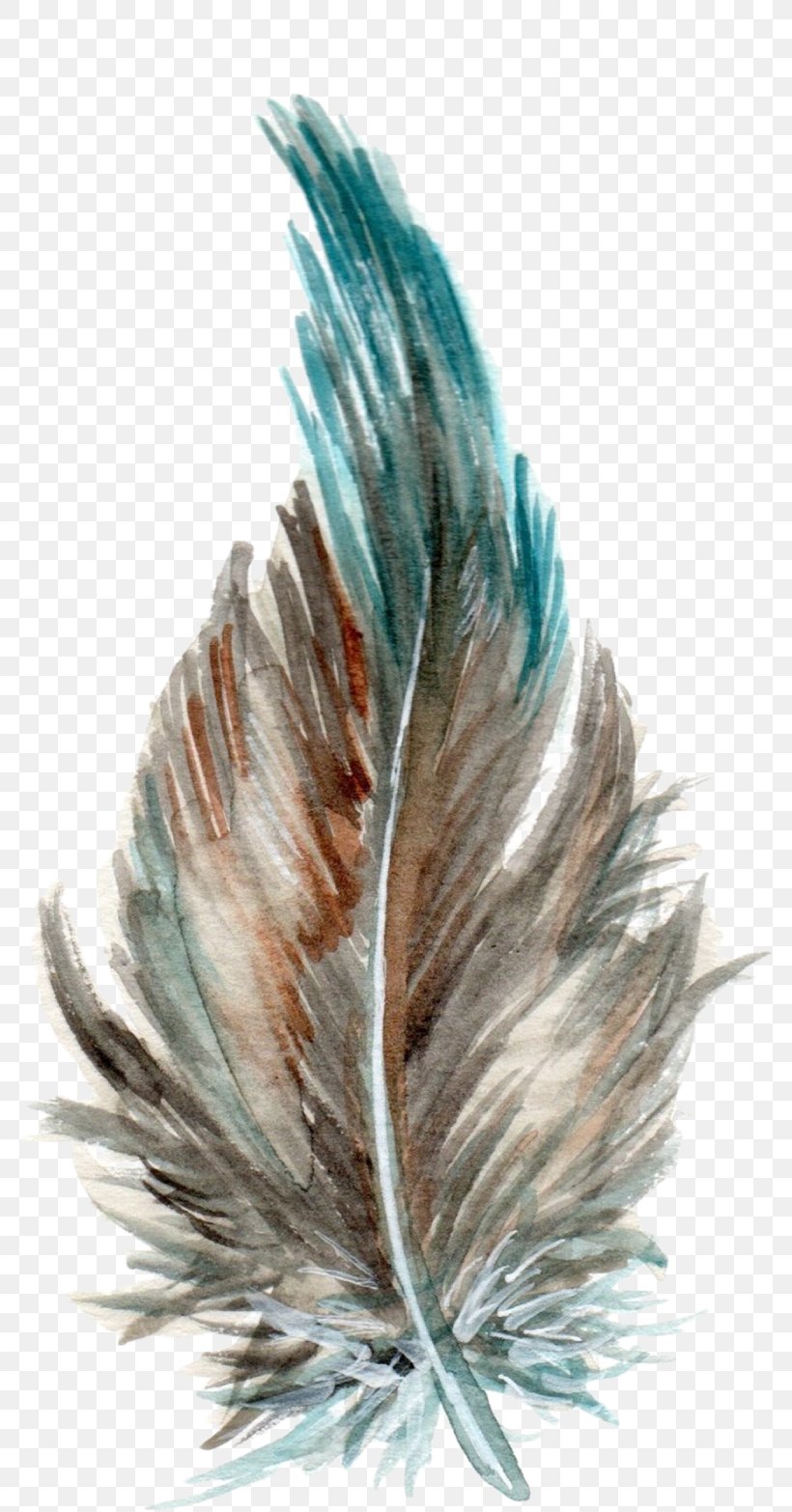 Teal Turquoise Feather Tail, PNG, 783x1566px, Teal, Feather, Tail, Turquoise, Wing Download Free