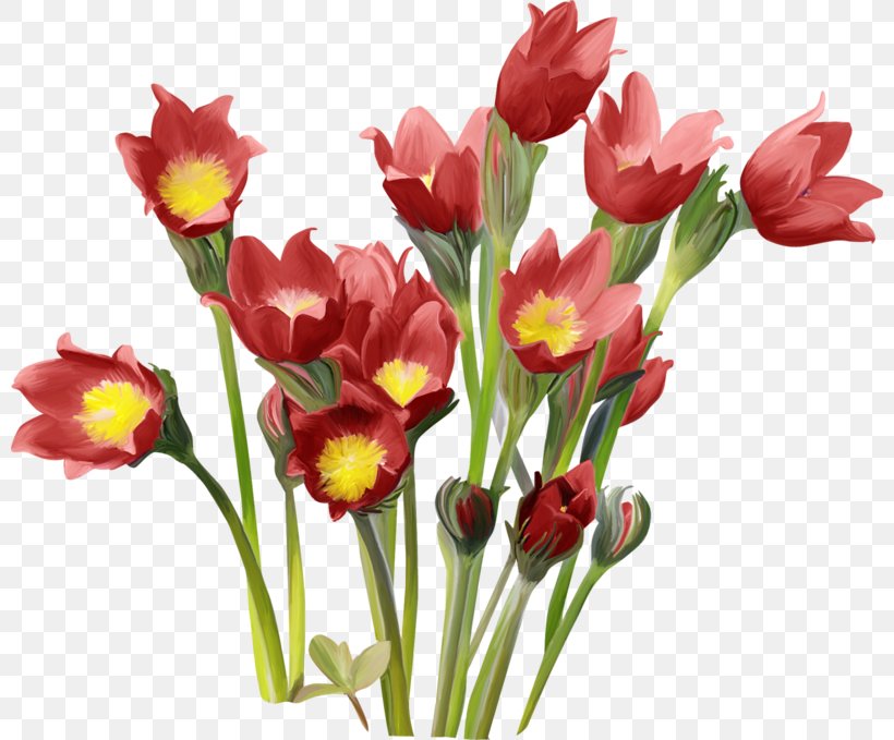 Tulip Cut Flowers, PNG, 800x679px, Tulip, Cut Flowers, Floral Design, Floristry, Flower Download Free