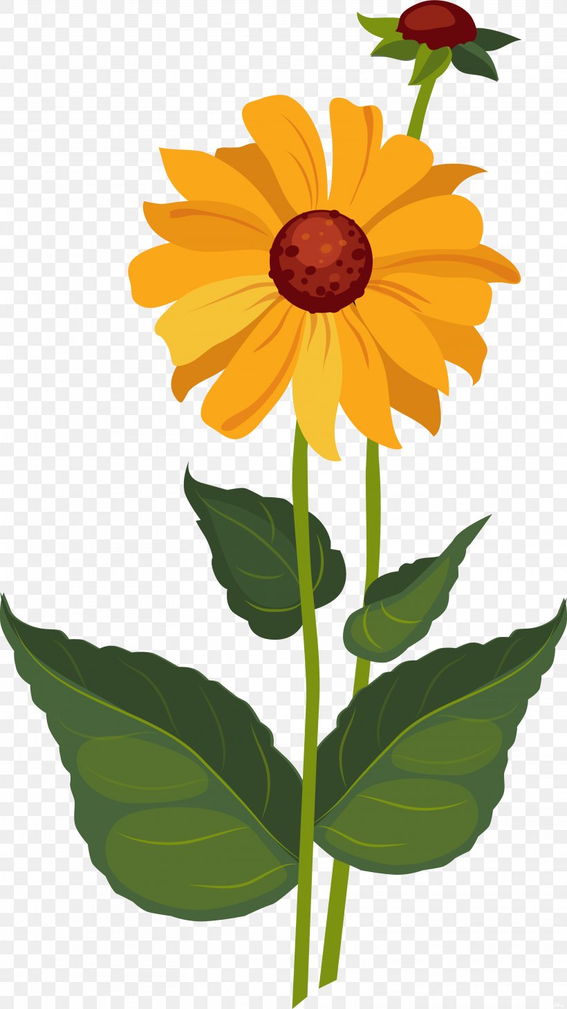 Common Sunflower Dahlia, PNG, 3134x5577px, Common Sunflower, Annual Plant, Botanical Illustration, Botany, Calendula Download Free