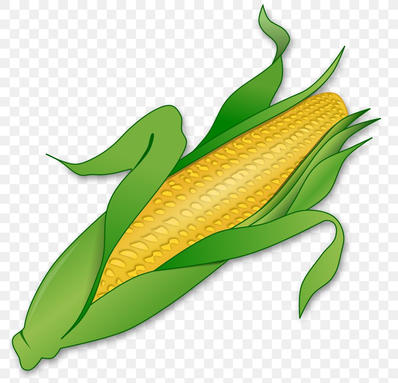 Corn On The Cob Maize Sweet Corn Clip Art, PNG, 800x790px, Corn On The Cob, Commodity, Corncob, Food, Free Content Download Free