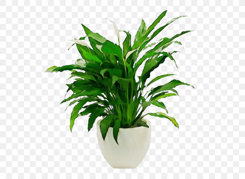 Living Room Houseplant Plant Stem Flowerpot Bonsai, PNG, 600x600px, Watercolor, Bonsai, Color, Drawing Room, Floor Download Free