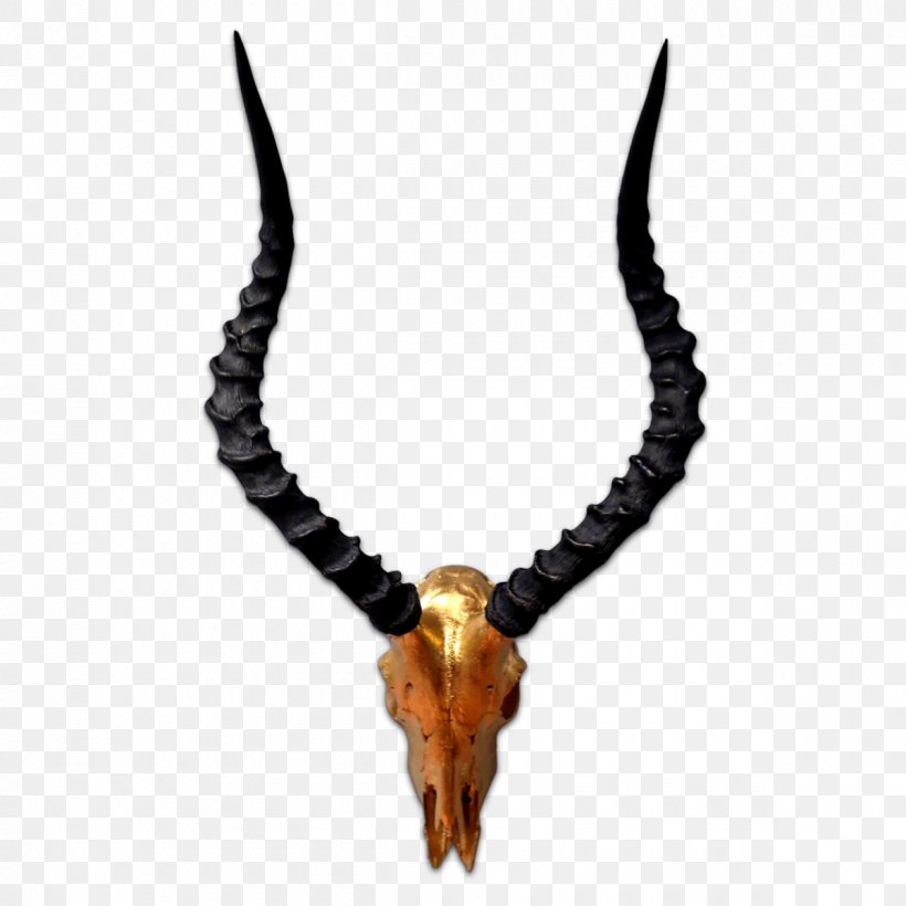 Necklace Antler Bracelet Jewellery Gemstone, PNG, 1200x1200px, Necklace, Antelope, Antler, Bracelet, Clothing Accessories Download Free