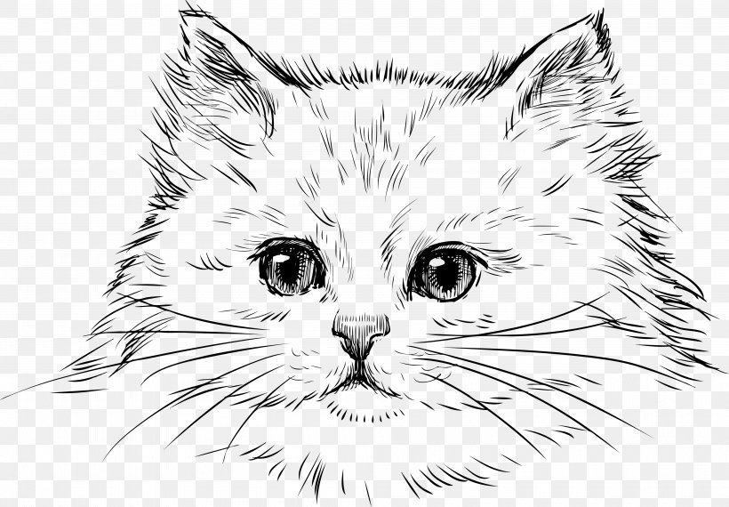 Cat Kitten Drawing Clip Art, PNG, 4000x2782px, Watercolor, Cartoon, Flower, Frame, Heart Download Free