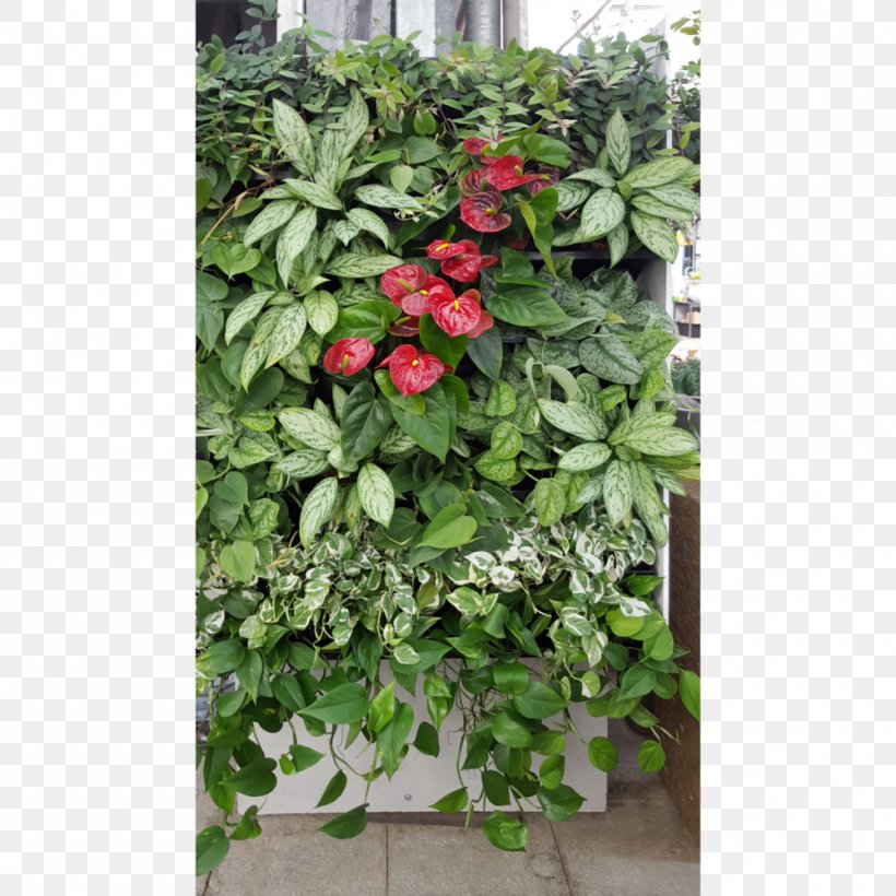 Flowerpot Herb Shrub, PNG, 1000x1000px, Flower, Flowerpot, Herb, Plant, Shrub Download Free