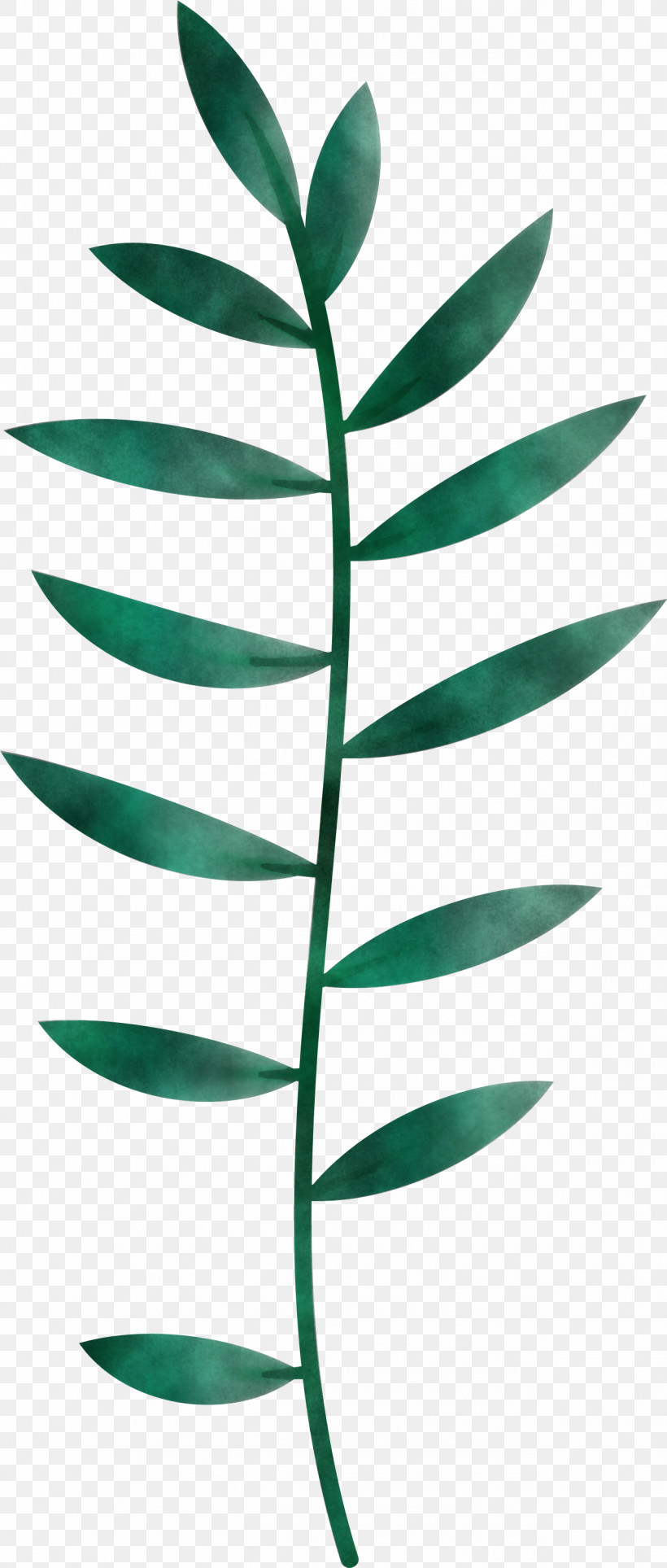 Leaf, PNG, 1276x3000px, Leaf, Biology, Branch, Chemistry, Leaf Angle Distribution Download Free