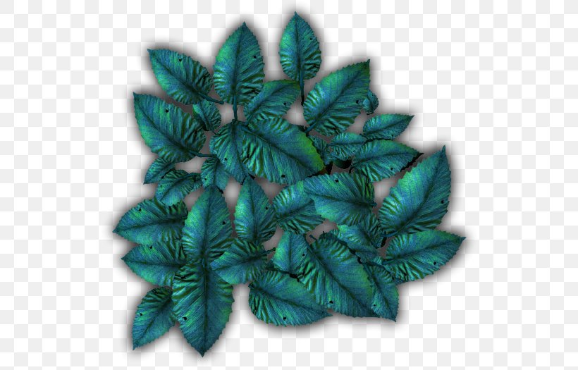 Leaf Turquoise, PNG, 536x525px, Leaf, Plant, Turquoise Download Free