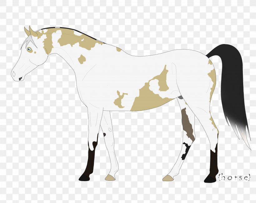 Mane Mustang Stallion Foal Colt, PNG, 3782x2995px, Mane, Animal Figure, Bridle, Colt, Foal Download Free