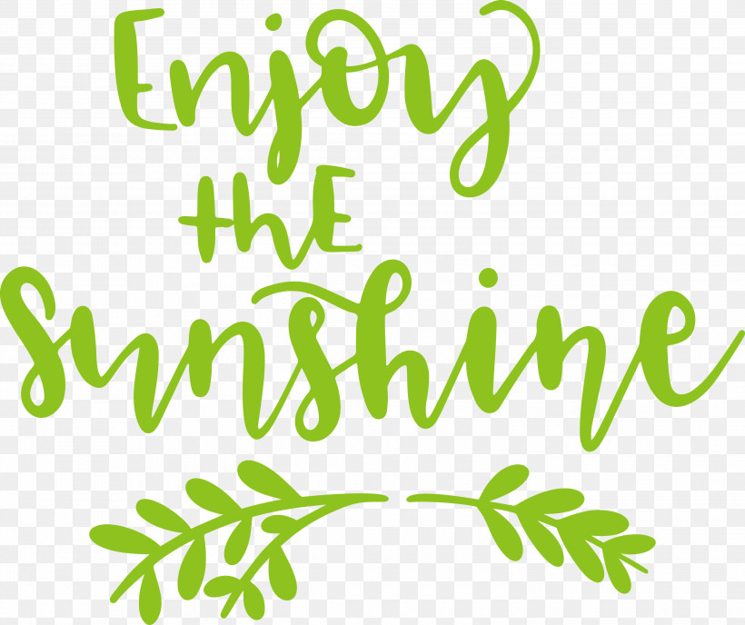 Sunshine Enjoy The Sunshine, PNG, 3000x2518px, Sunshine, Biology, Flower, Geometry, Leaf Download Free