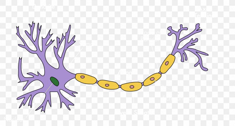 Upper Motor Neuron Soma Nervous System, PNG, 1280x688px, Neuron, Animal Figure, Area, Art, Artwork Download Free