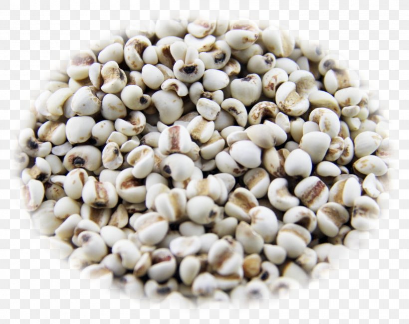 Adlay Photography Food Five Grains, PNG, 2414x1915px, Adlay, Bean, Coix Lacrymajobi, Com, Commodity Download Free