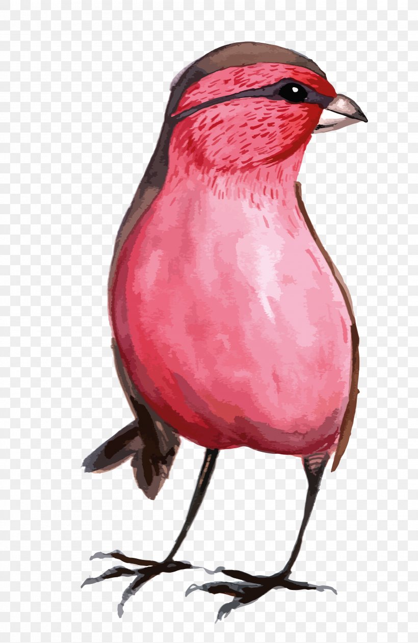 Bird Watercolor Painting Illustration, PNG, 3125x4807px, Bird, Beak, Cartoon, Designer, Feather Download Free