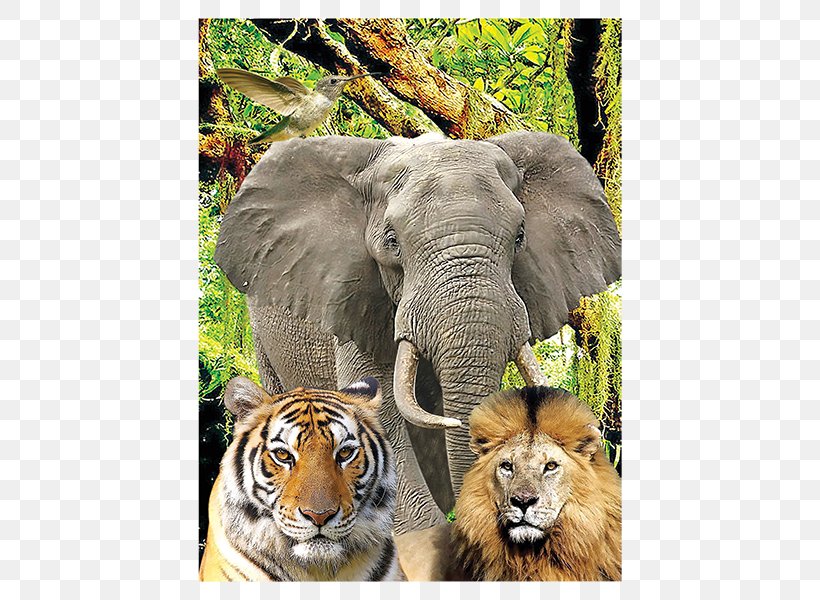 Jigsaw Puzzles Three-dimensional Space Indian Elephant Ravensburger Mechanical Puzzles, PNG, 600x600px, Jigsaw Puzzles, African Elephant, Animal, Ar15 Style Rifle, Big Cats Download Free