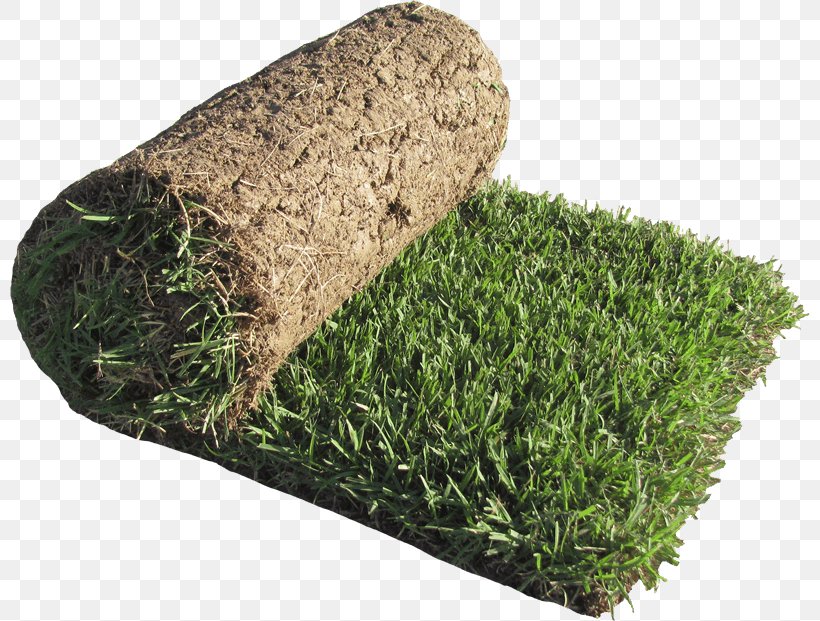 Sod House Lawngrass Roller, PNG, 800x621px, Sod House, Artificial Turf, Garden, Gardening, Grass Download Free