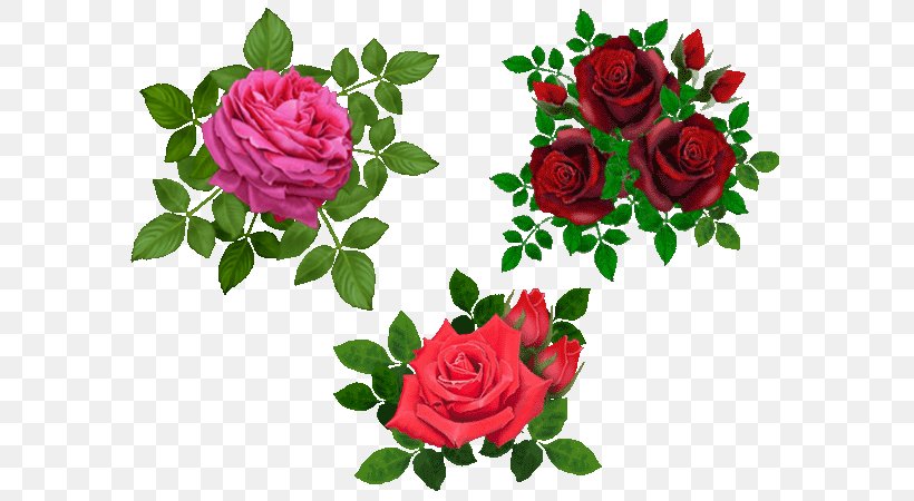 Beach Rose Flower Clip Art, PNG, 600x450px, Beach Rose, Annual Plant, Artificial Flower, Cut Flowers, Data Download Free