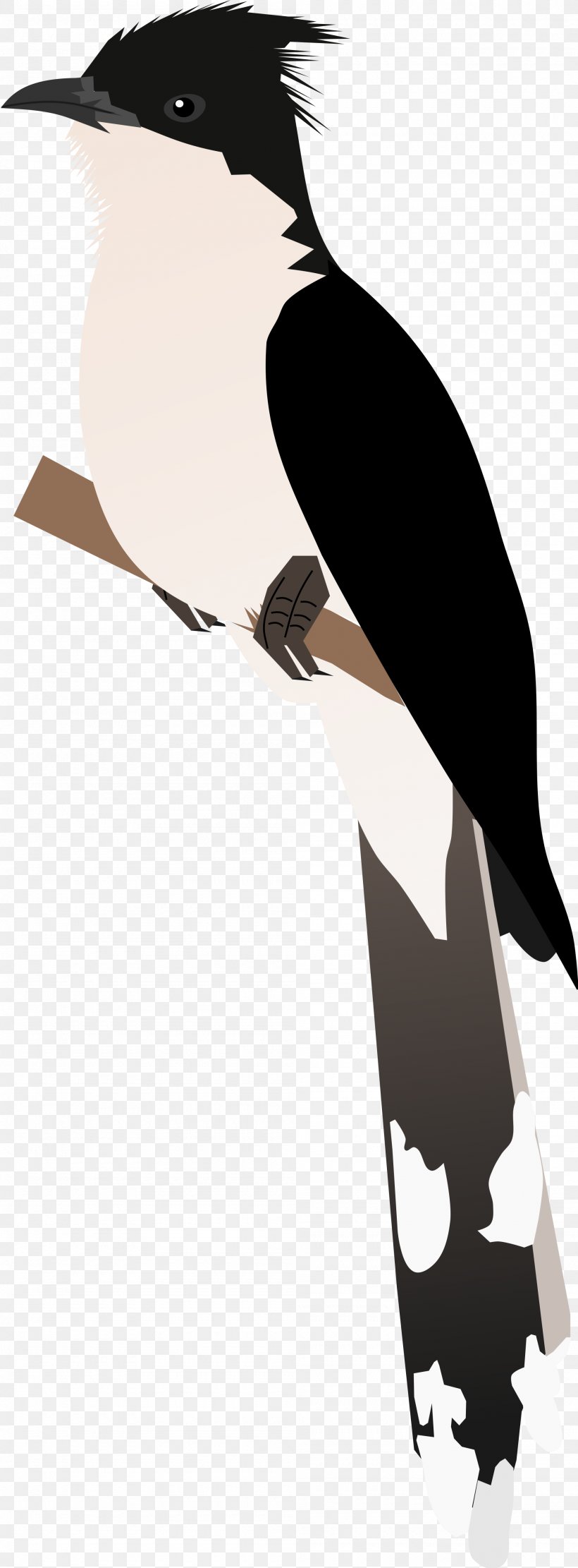 Beak Flightless Bird Silhouette Clip Art, PNG, 2000x5420px, Beak, Bird, Black, Black And White, Flightless Bird Download Free
