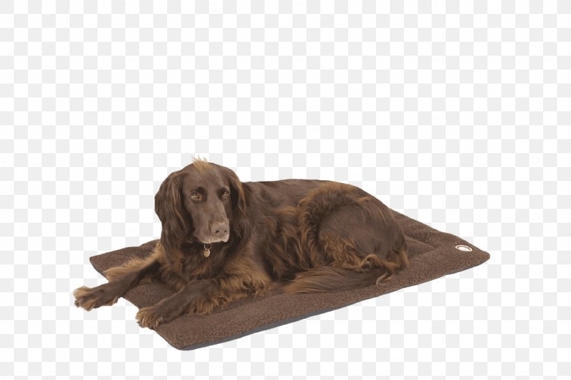 Boykin Spaniel Irish Setter Dog Breed Blanket, PNG, 1024x683px, Boykin Spaniel, Bed, Blanket, Breed, Carnivoran Download Free