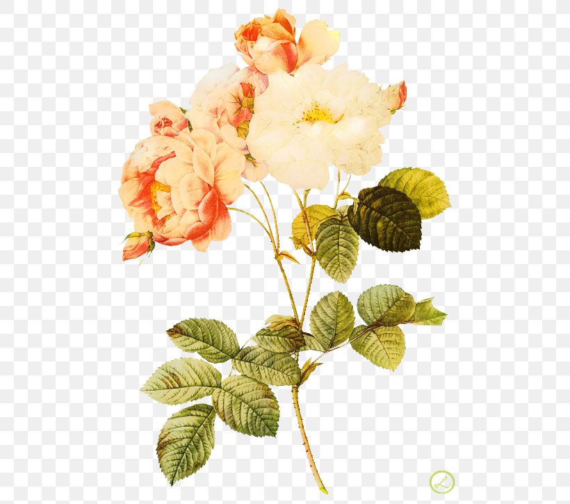Painting Work Of Art Rose, PNG, 500x725px, Painting, Art, Artificial Flower, Botany, Branch Download Free