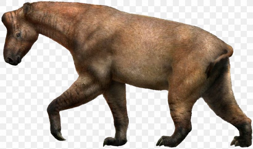 Chalicotherium Ancylotherium Tanystropheus Miocene Dinocrocuta, PNG, 861x508px, Chalicotherium, Ancylotherium, Animal, Carnivoran, Chalicothere Download Free
