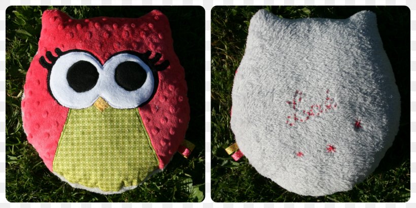 Little Owl Sewing Cushion Slipcover, PNG, 3000x1500px, Owl, Barn Owl, Beak, Bird, Bird Of Prey Download Free
