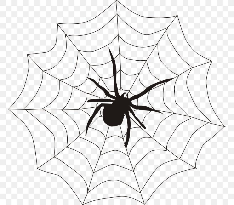 Spider Web Clip Art, PNG, 762x720px, Spider, Arachnid, Area, Black And White, Document Download Free
