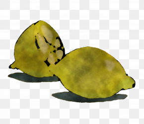 Fruit PNG