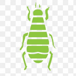 Flea - Insect Cockroach Rat Mouse Ant PNG