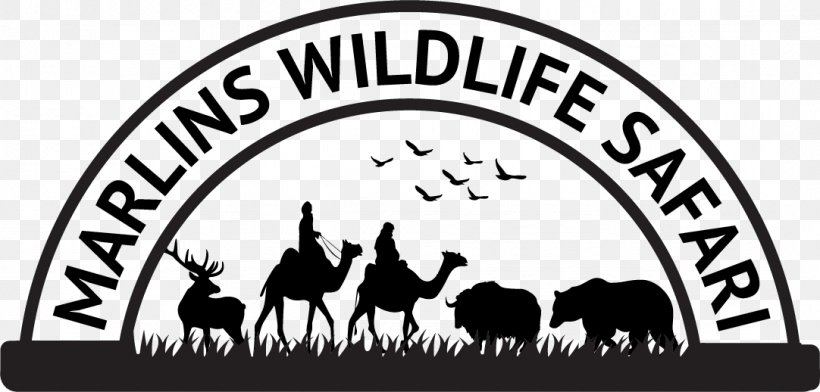Marlins Wildlife Safari Logo Recreation Horse Petting Zoo, PNG, 1082x518px, Logo, Area, Black, Black And White, Brand Download Free