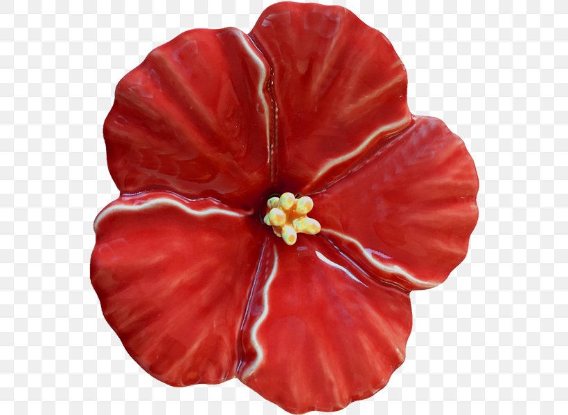 Rosemallows Steiner Ceramics Flower Pottery, PNG, 569x600px, Rosemallows, Art, Artist, Ceramic, Coquelicot Download Free