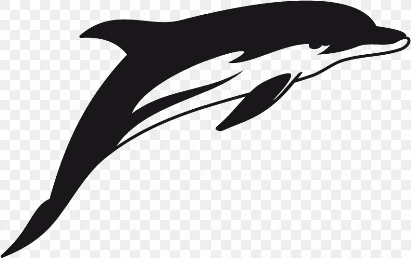 Short-beaked Common Dolphin Tattoo Image Stencil, PNG, 850x534px, Shortbeaked Common Dolphin, Art, Beak, Bird, Black And White Download Free