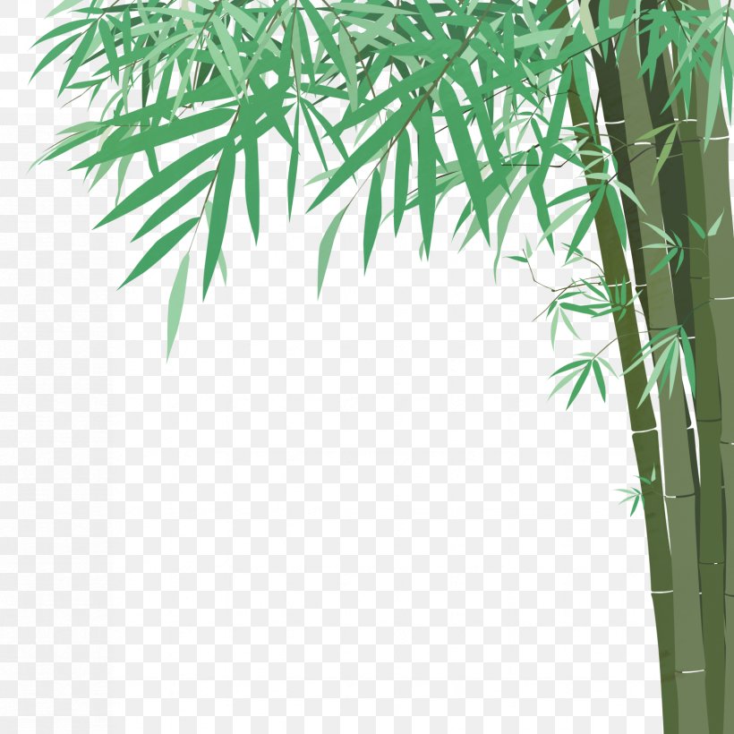 Bamboo Euclidean Vector Drawing Illustration, PNG, 1653x1653px, Bamboo, Arecales, Art, Branch, Drawing Download Free