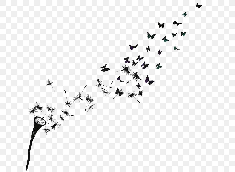 Butterfly Effect Common Dandelion Bird Tattoo, PNG, 800x600px, Watercolor, Cartoon, Flower, Frame, Heart Download Free