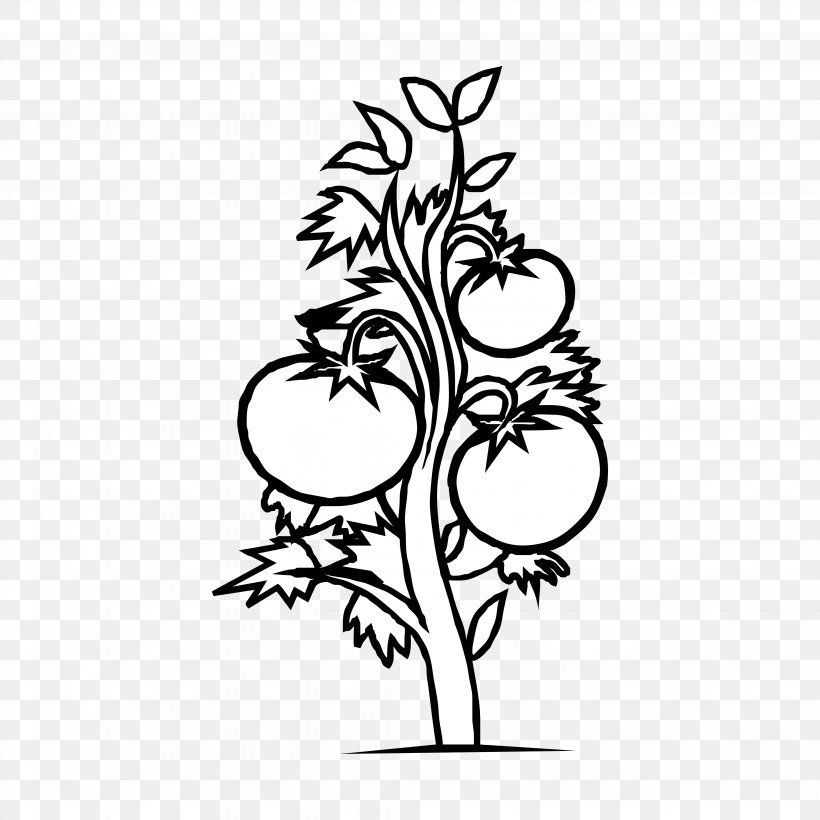 Clip Art Plants Plant Cell Flowering Plant Black And White, PNG, 4097x4097px, Plants, Art, Artwork, Black, Black And White Download Free