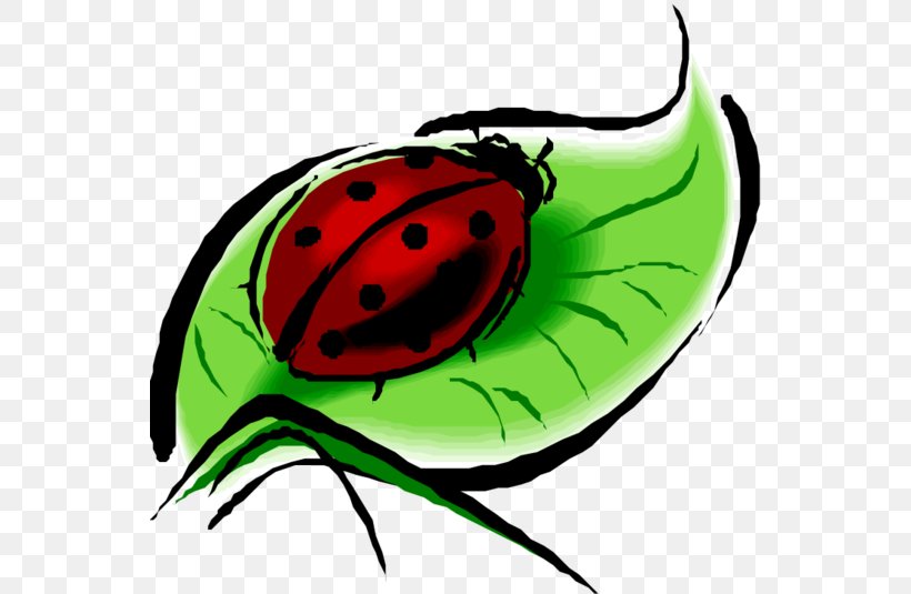 Ladybird Beetle Ladybug Photography Clip Art, PNG, 550x535px, Ladybird Beetle, Animal, Artwork, Beetle, Butterfly Download Free
