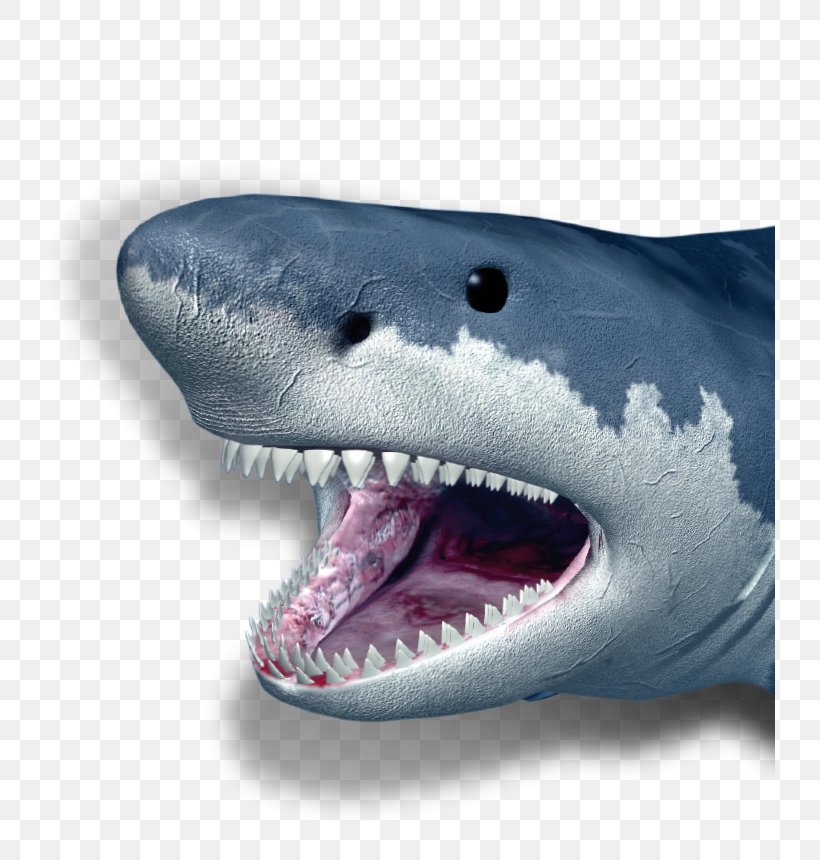 Poster: Weisser Hai, PNG, 731x860px, Shark, Blue Shark, Canvas, Cartilaginous Fish, Deep Blue Sea Download Free
