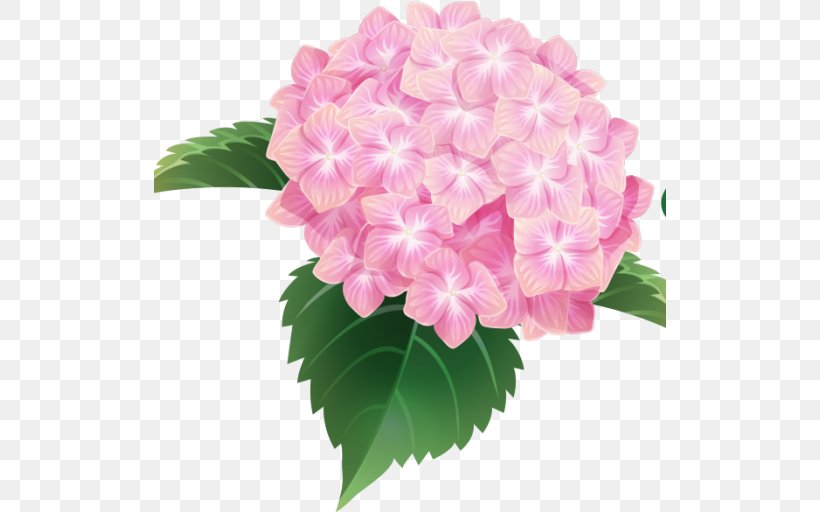 The Penny McHenry Hydrangea Festival French Hydrangea Douglasville, PNG, 512x512px, Penny Mchenry Hydrangea Festival, Annual Plant, Cornales, Cut Flowers, Douglasville Download Free