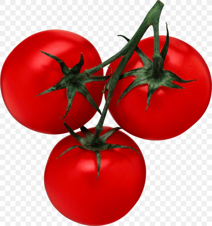 Tomato Juice Cherry Tomato Salsa Clip Art, PNG, 2452x2623px, Adobe Acrobat, Apple, Brochure, Bush Tomato, Christmas Ornament Download Free